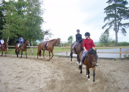 Equitation & langue