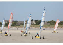 Char � voile & langue