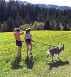 chiens-nordiques-cani-rando.