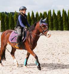 entrainement équitation.