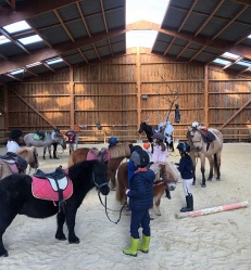 equitation-centre-equestre-saint-pardoux.