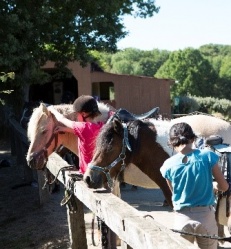 equitation-chambon.