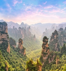 shutterstock_545143390.