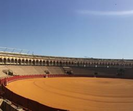 Plaza de Toros de la Real Maestranza - arènes de Séville par Camille Ferreira