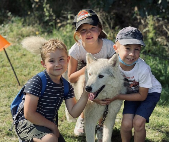 enfants-chien-de-traineau-melle.