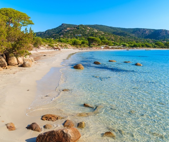 Magnifique plage de Palombaggia près de Porto Vecchio en Corse