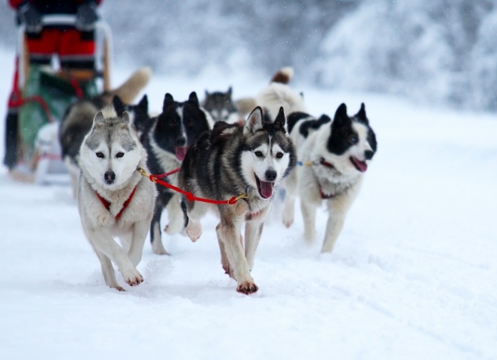 Multi Activités à La Bourboule