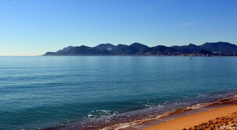 college-international-cannes.