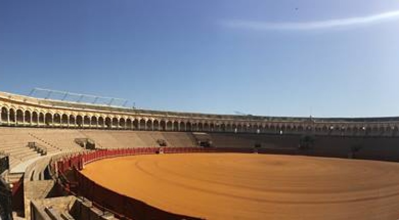 Plaza de Toros de la Real Maestranza - arènes de Séville par Camille Ferreira