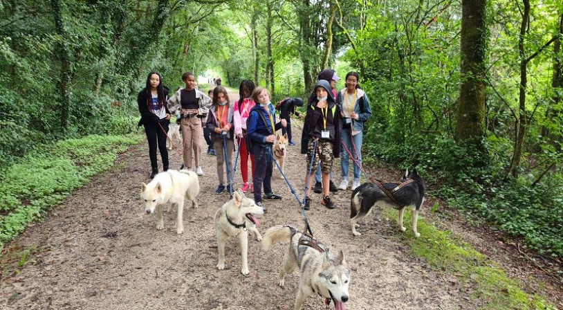 canirando-groupe-randonnee-melle.