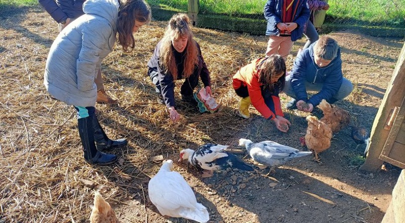 animaux de la ferme.