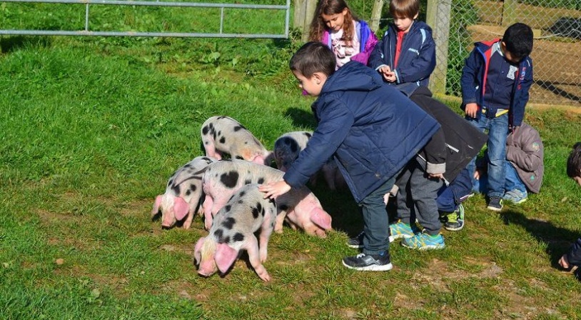 Decouverte de la ferme. à Montmerrei