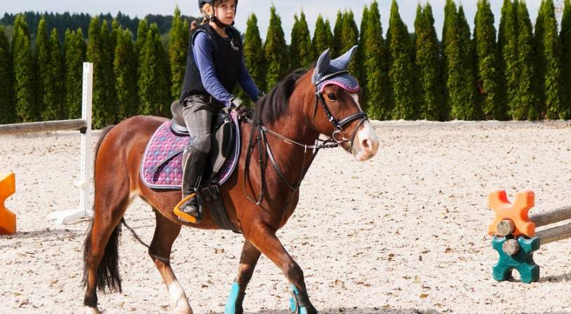 entrainement équitation.jpg entrainement équitation.