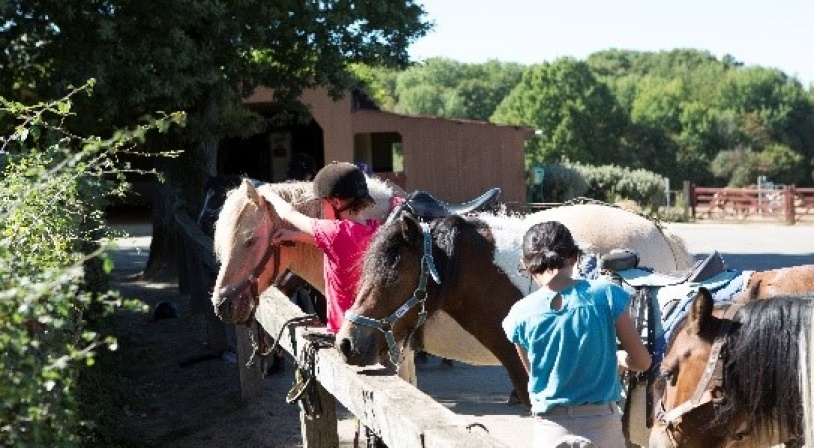 equitation-chambon.