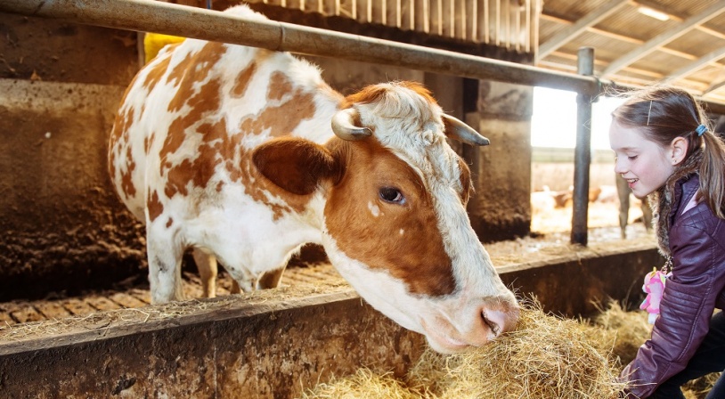 Decouverte de la ferme. à Montmerrei