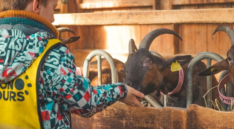 Multi Activités à La Bourboule
