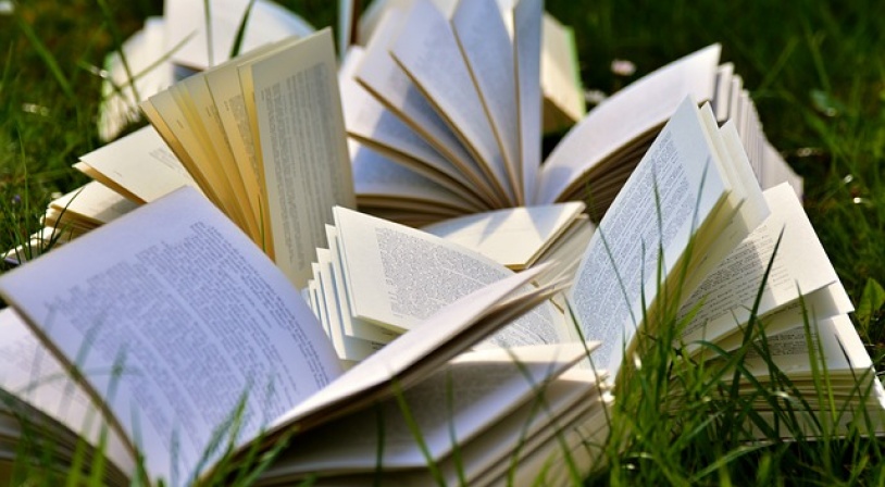 livres-prix-femina-lyceens-2017.jpg livres-prix-femina-lyceens-2017.
