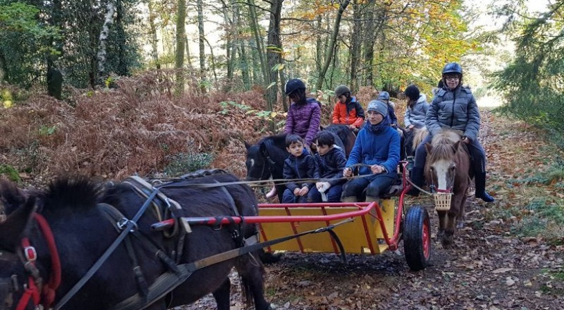 Decouverte de la ferme. à Montmerrei