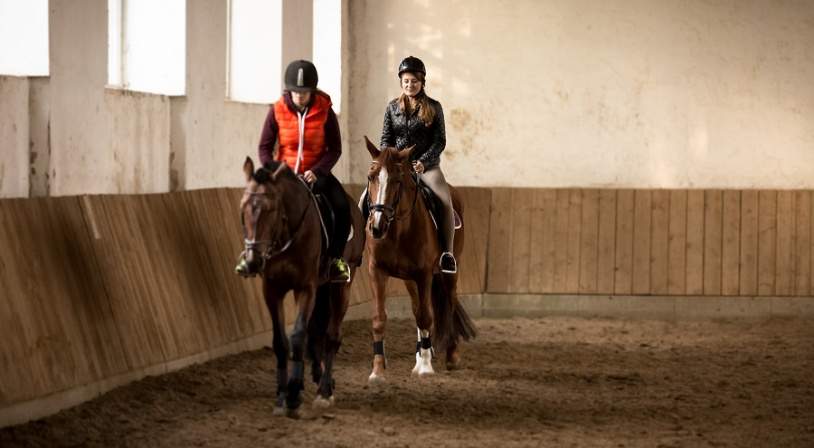 stage-equitation-manege.