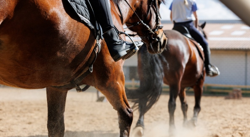 stage-equitation.