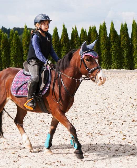 entrainement équitation.jpg entrainement équitation.