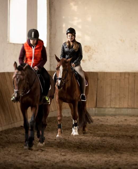stage-equitation-manege.jpg stage-equitation-manege.