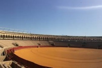 Plaza de Toros de la Real Maestranza - arènes de Séville par Camille Ferreira