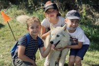 enfants-chien-de-traineau-melle.