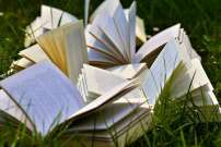 livres-prix-femina-lyceens-2017.jpg livres-prix-femina-lyceens-2017.